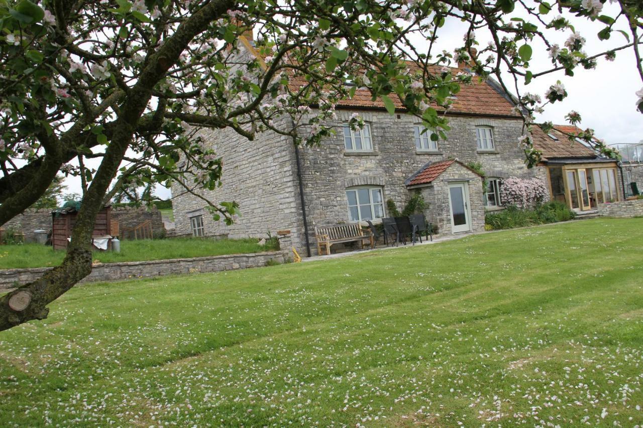 Castle Farm Bed and Breakfast Wedmore Zewnętrze zdjęcie